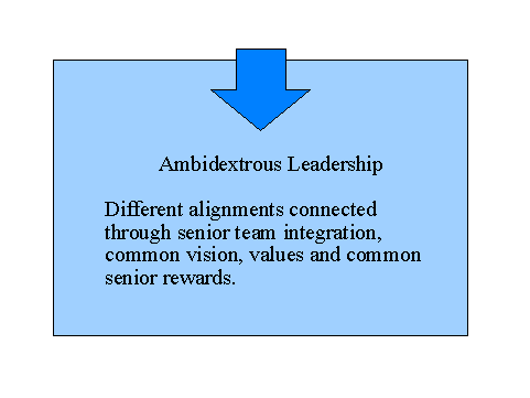 Ambidextrous Leadership