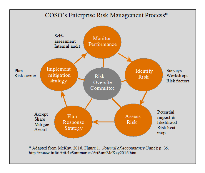 COSO ERM Process 