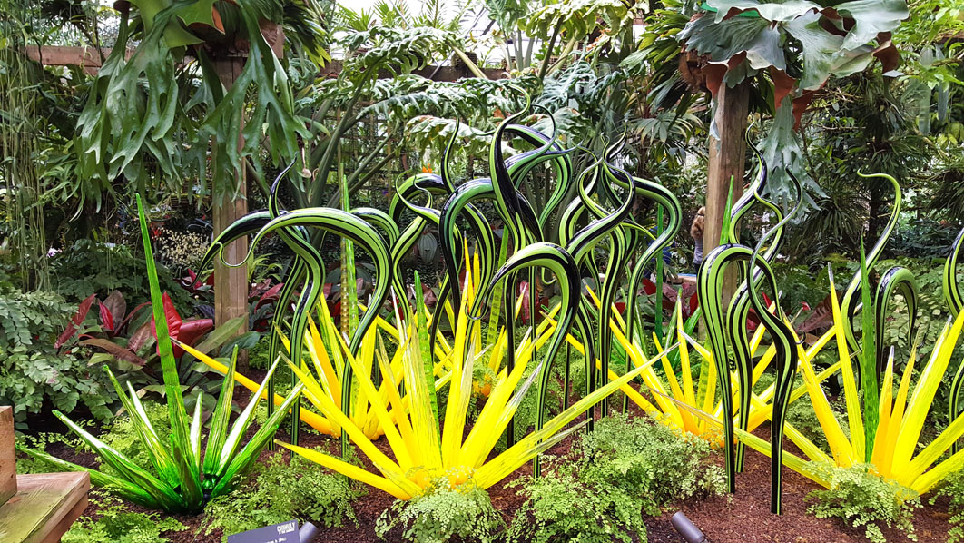 Chihuly Glass Atlanta Botanical Garden