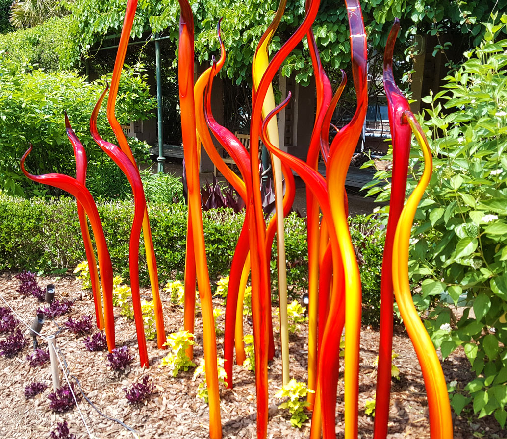 Chihuly Glass Atlanta Botanical Garden