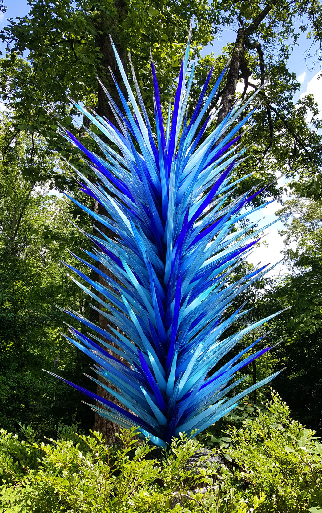 Chihuly Glass Atlanta Botanical Garden