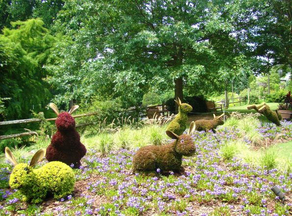 Rabbits Atlanta Botanical Garden