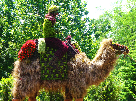 Camel sculpture