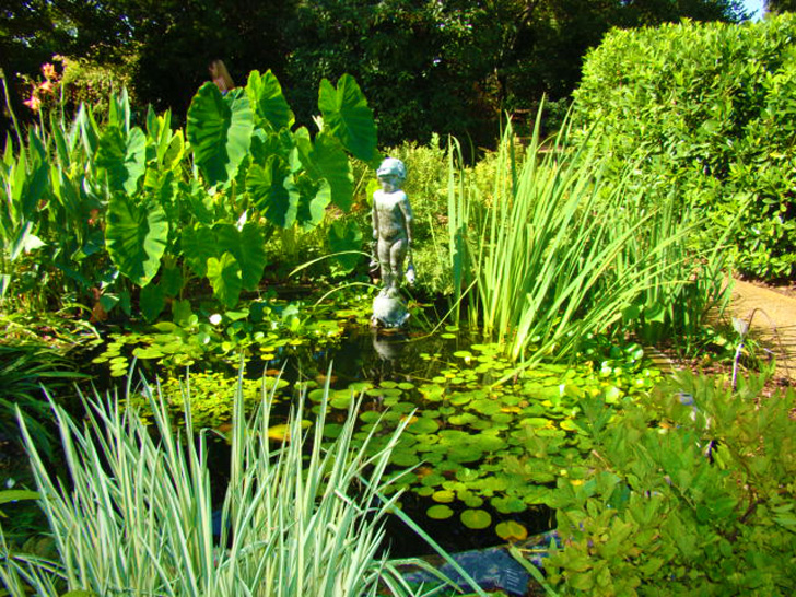 Atlanta Botanical Garden - Frog Boy