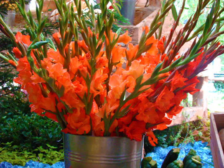 Flowers Bellagio Hotel Las Vegas