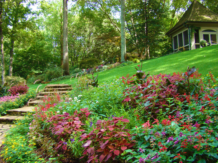 Manor House Garden