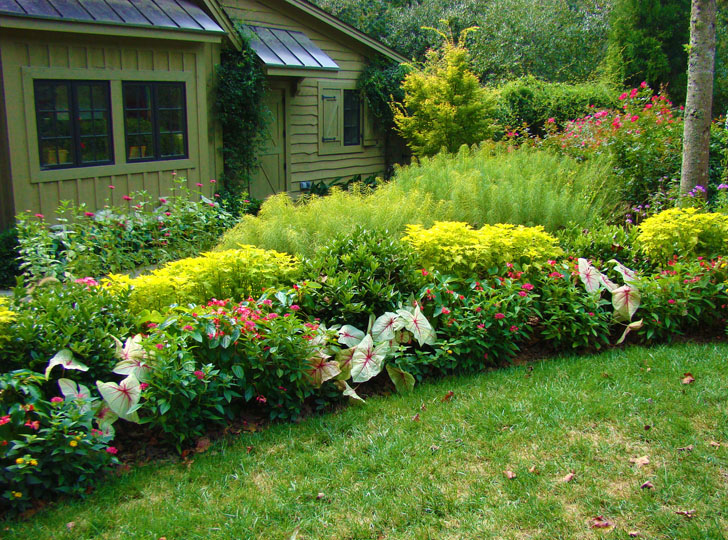 Manor House Garden