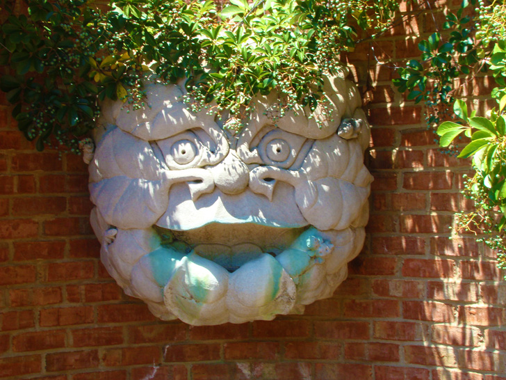 Atlanta Botanical Garden Fountain