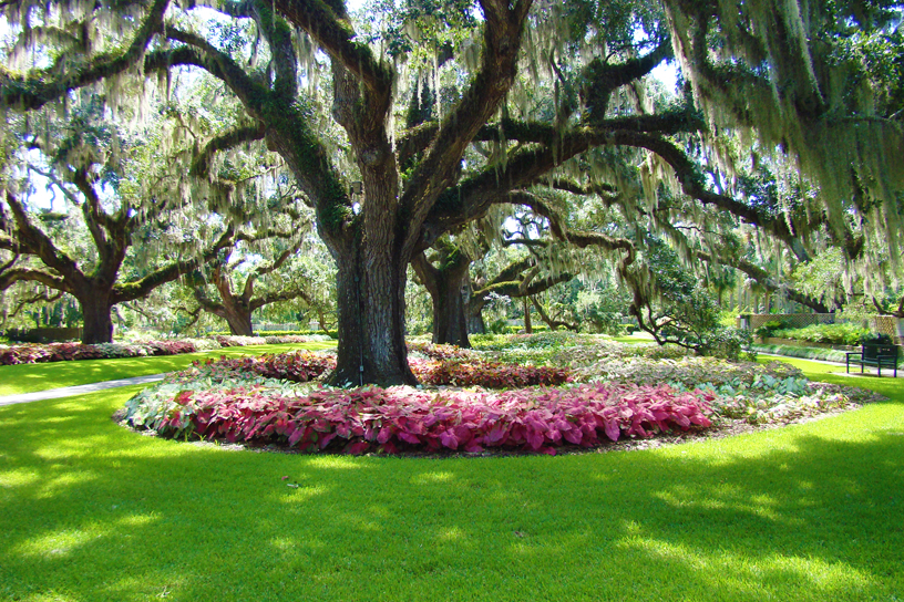 Brookgreen Gardens