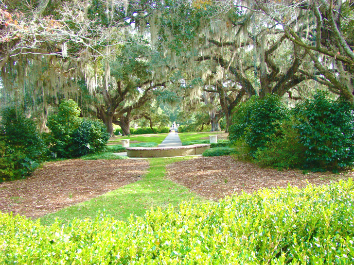 Brookgreen Gardens Trees