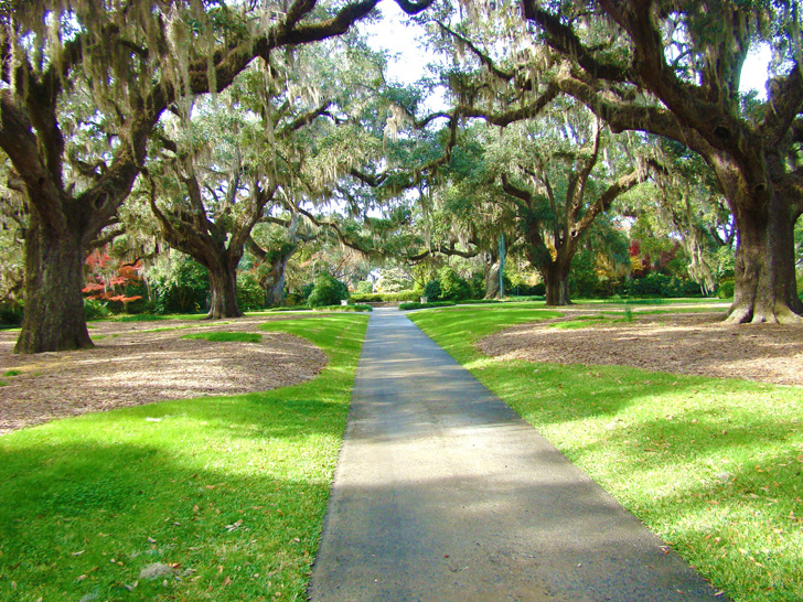 Brookgreen Gardens Walk in the Park