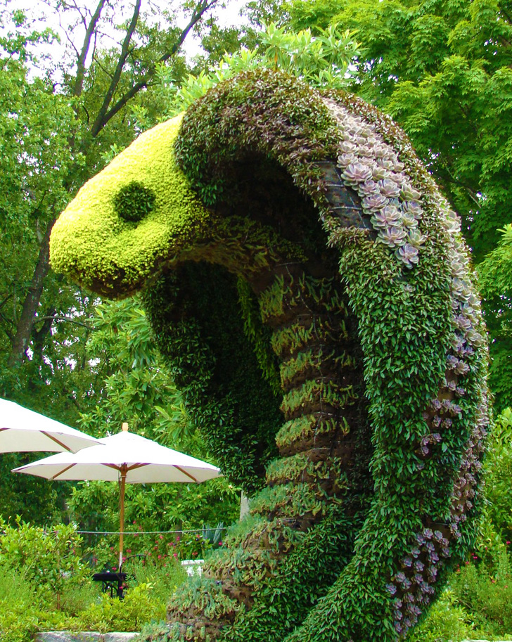 Atlanta Botanical Garden Cobra