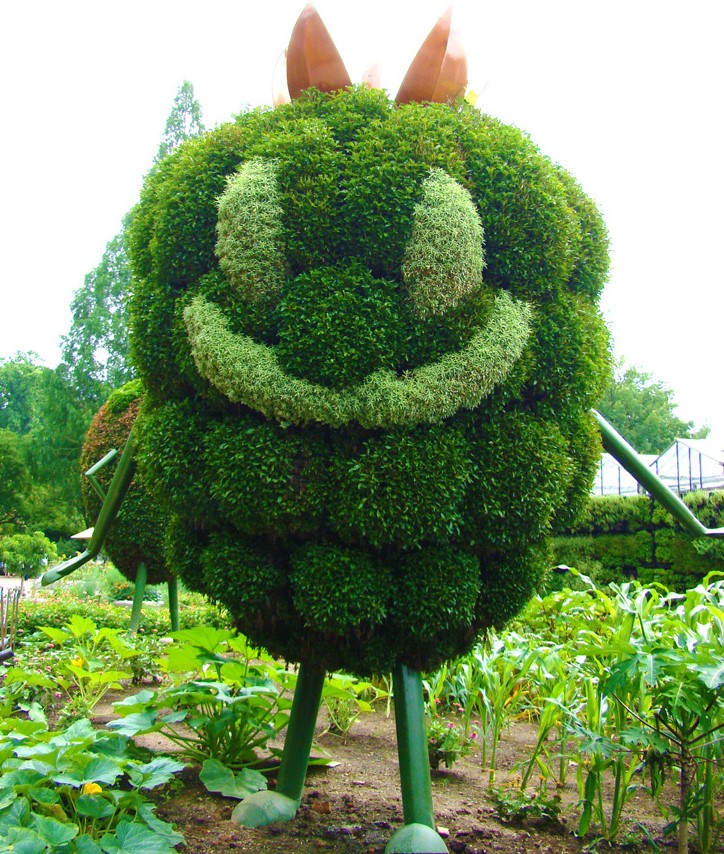 Atlanta Botanical Garden Giant Berry