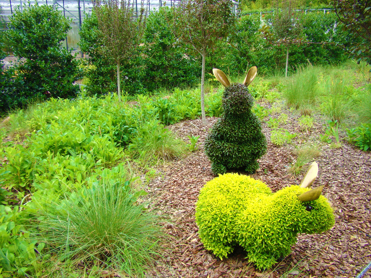 Atlanta Botanical Garden Rabbits