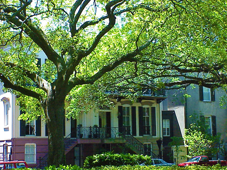 Private Home Savannah Georgia