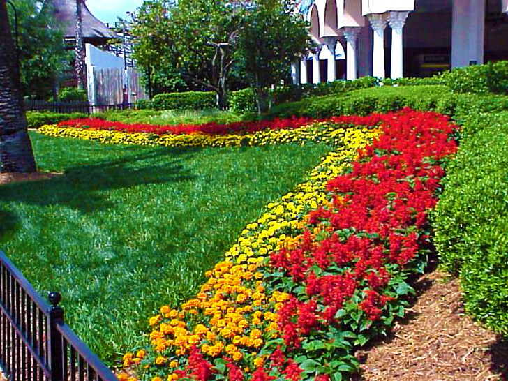 Gardens Busch Gardens Tampa