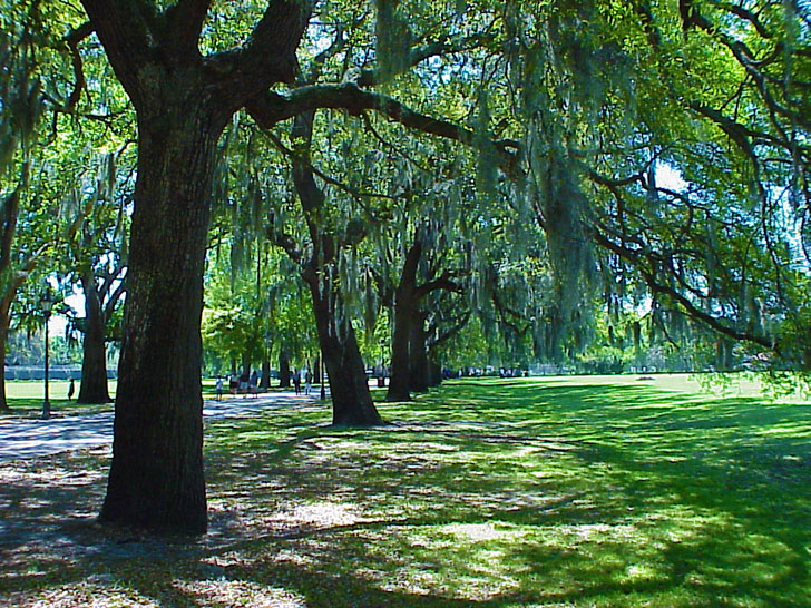 Forsyth Park Savannah Georgia