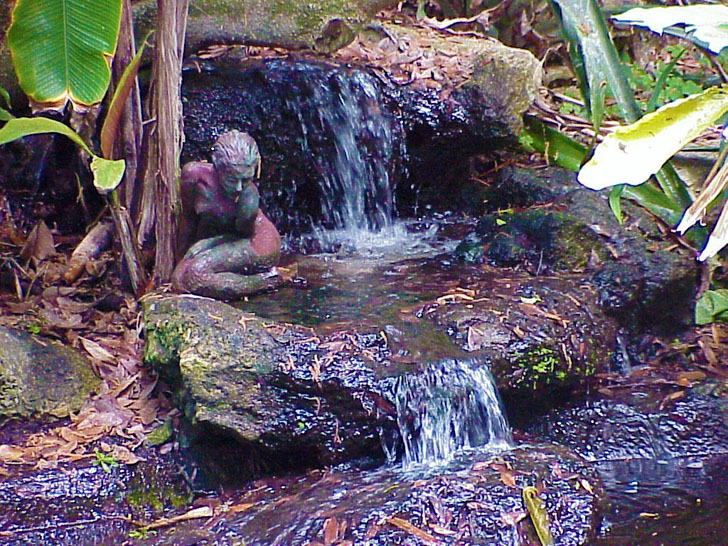 Nymph in Water Selby Gardens Sarasota Florida