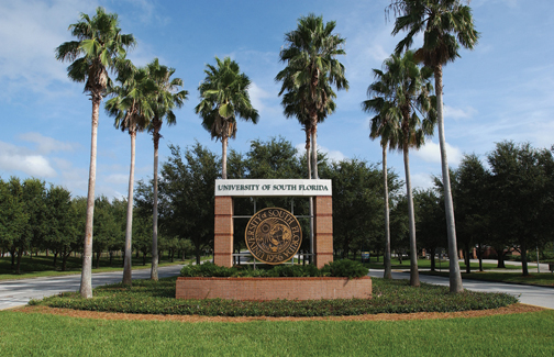 USF Entrance